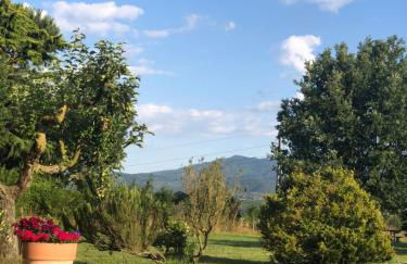 Dreams Valley - Foto 42