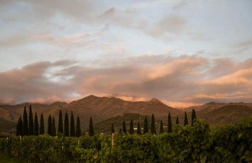 Agriturismo San Jacopo - Foto 6