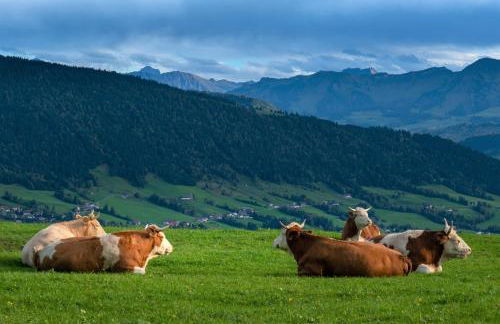 Ferienwohnung BergOase mit Pool & Sauna - Foto 50