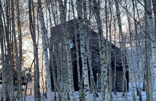 Drewniany dom w brzozowisku - Foto 16