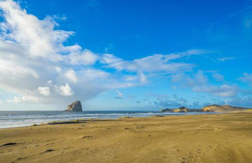 The Surfbird - Foto 36