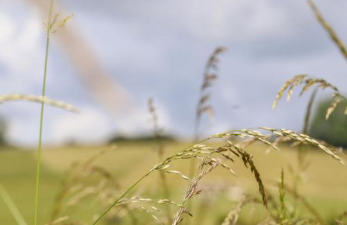 Wren Cottage at Boyke Manor - Foto 57