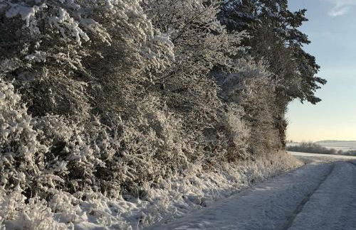 Eifelcottage Wren - Foto 33