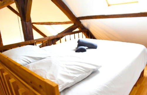 Pacy sur Eure loft en plein centre - Foto 21