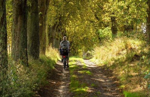 Ferienhaus VierSeen - Müritz, Fleesensee, Kölpinsee, Plauer See - Foto 22