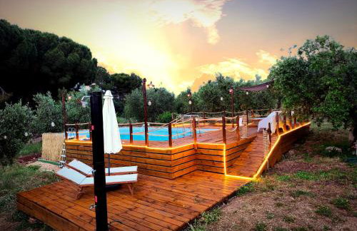 Masseria Latorre Locorotondo - Foto 4