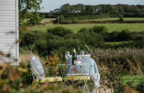 Shepherds Hut at Chenhall Farm - Photo 32