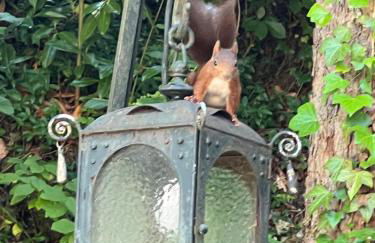 Schloss Suggenstein - Foto 74