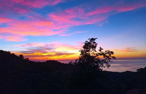 House in Εndless green - Arethousa, Ikaria - Photo 52