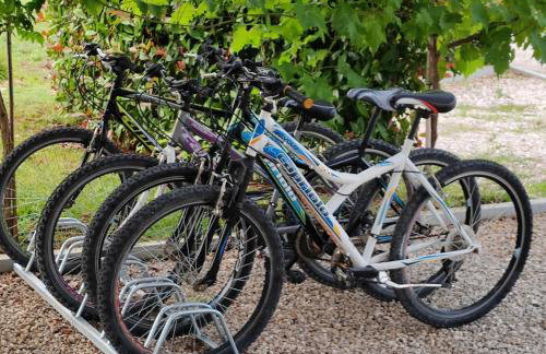 Villa Mila Rovinj - Photo 8