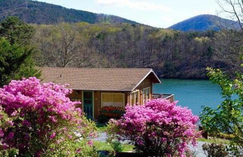 Cute and Comfy Cabin - Foto 1