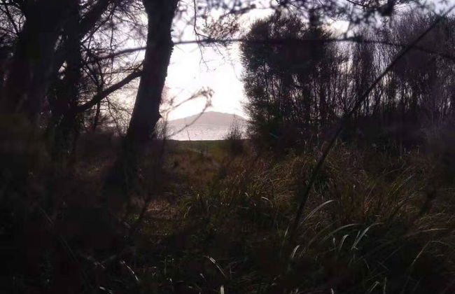 Cosy Cottage Thermal Holiday Park - Foto 39