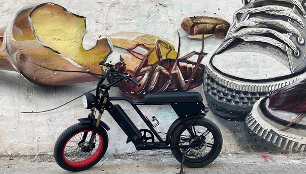 Noleggio bici E-FAT di 10 ore per scoprire Malaga al tuo ritmo - Foto 5