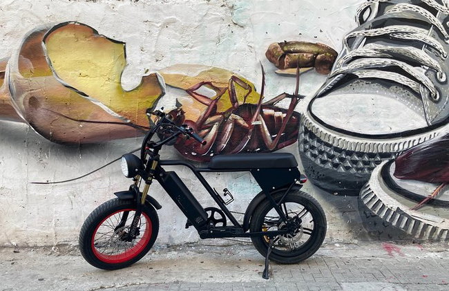 Noleggio bici E-FAT di 10 ore per scoprire Malaga al tuo ritmo - Foto 5
