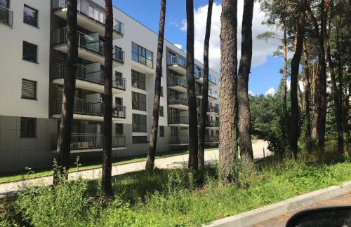 Family & Business Sauna Apartments No1 Leśny nad Zalewem Cedzyna Unikat - 3 Bedroom with Private Sauna, Bath with Hydromassage, Terrace, Garage, Catering Options - Foto 40