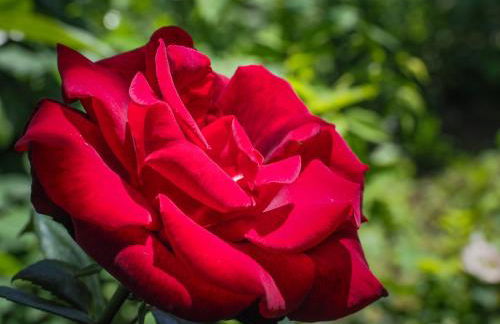 Casa de Pereiró - Foto 38