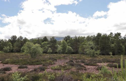 Moss of Bourach - Foto 33