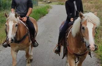 Villetta immersa nel verde - Foto 56