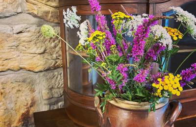 Ferienwohnungen Landliebe "Auszeit mit Wohlgefühl" - Foto 24