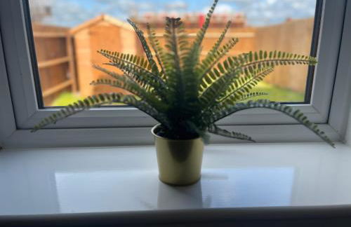 Kingsway House - Spacious 4 Bed Home From Home in Derby - Foto 12