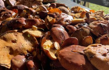 Lawendowa Malanówka - domek nad jeziorem - Foto 26