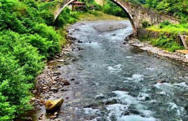 Dereli Suit Apart - Foto 46