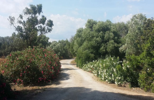 Villa Son Granada - Foto 45