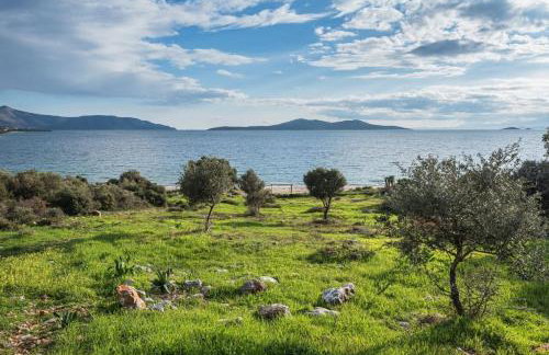 Blue Horizon Retreat - Foto 34