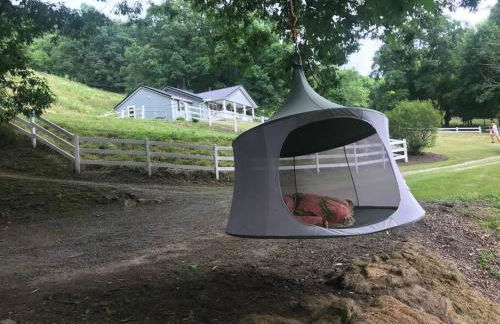 Full Access to our Farm & Petting ZOO + Hot Tub! - Foto 37