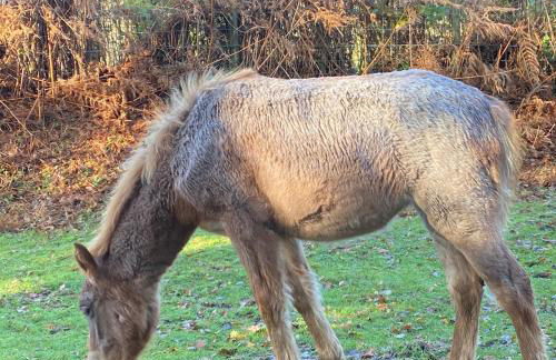 Good Vibes - Foto 34