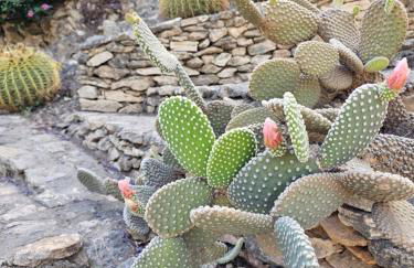 Villa Finca el Carril - Foto 42