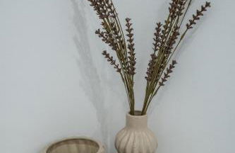 Casas da Barca - Foto 17