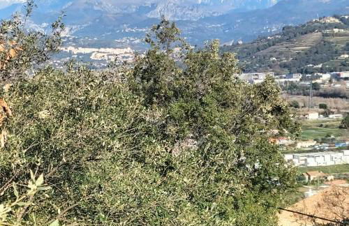 Rez de villa avec beau jardin et belle vue - Foto 22