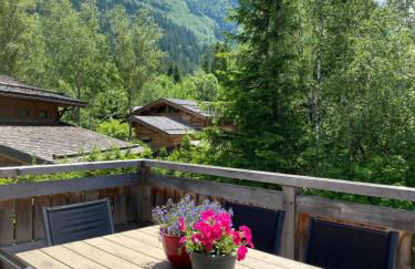 Chalet Isabelle Mountain lodge 5 star 5 bedroom en suite sauna jacuzzi - Photo 66