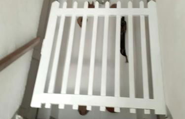 Casa di Bimba - Photo 40