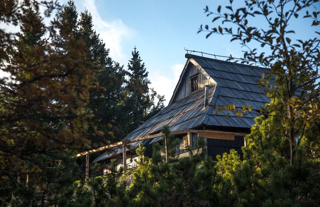Koca Bistra - Velika planina - Foto 58