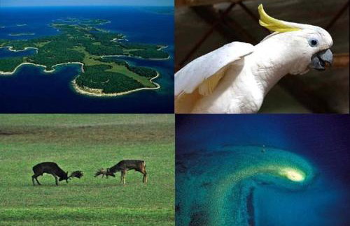 Villa FARO - new house, near beaches, heated pool, playroom, bbq, Salvore - Istria - Foto 79