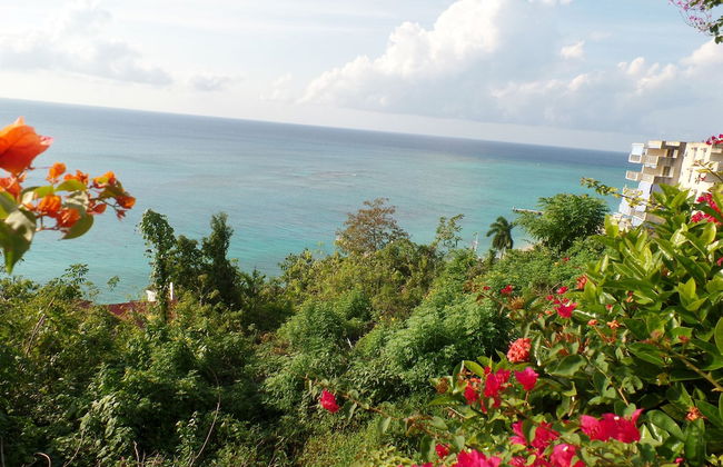 Court Manor at Montego Bay Club - Foto 48