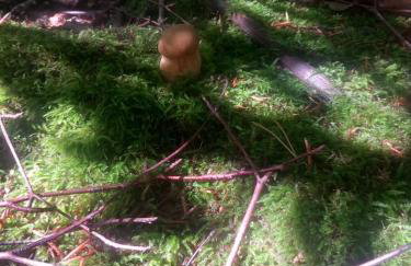 Domek na Uboczu - Foto 21