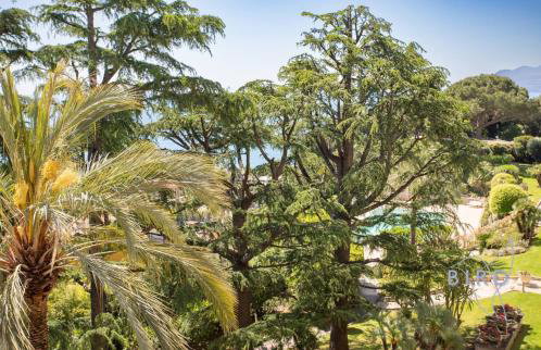 Beautiful apartment in Cannes SEA VIEW and POOL - Foto 43