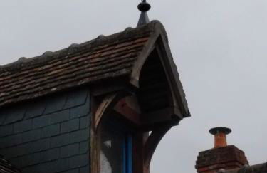 La Maison Bleue de Husseau Ancienne ferme semi-troglodytique 18e siècle - Foto 12