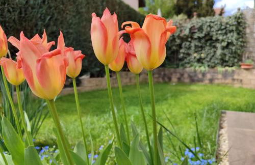 BohèmeNest Terminal Apartment - Foto 11