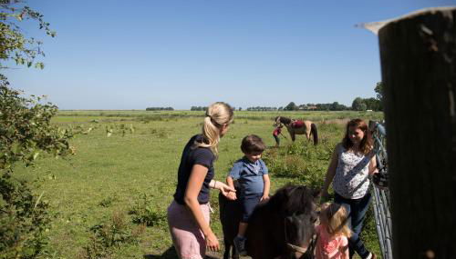 Friesenhof Janssen - Urlaub auf dem Bauernhof - Foto 5