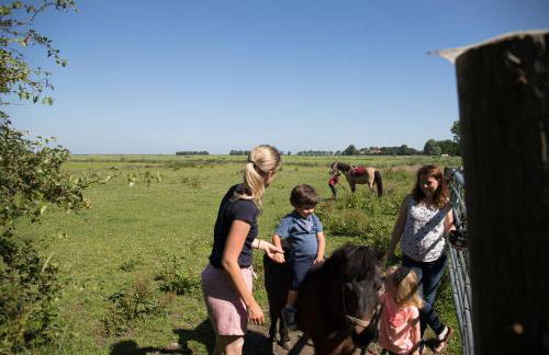 Friesenhof Janssen - Urlaub auf dem Bauernhof - Photo 5