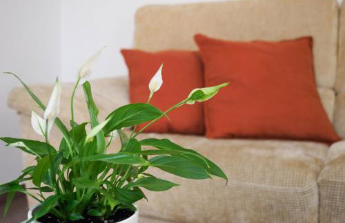 Habana en el corazón de Cuenca - Foto 21