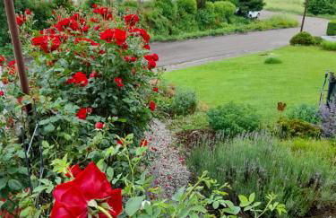 Apartment Rose Sasbachwalden - Foto 12