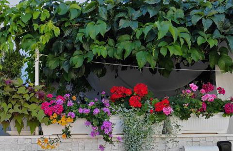 Apartman studio Otium - Photo 20