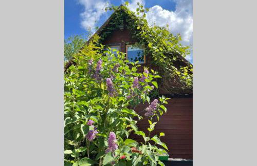 Domek w Sitnie - Foto 24