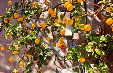 Manù Apartment - Foto 46