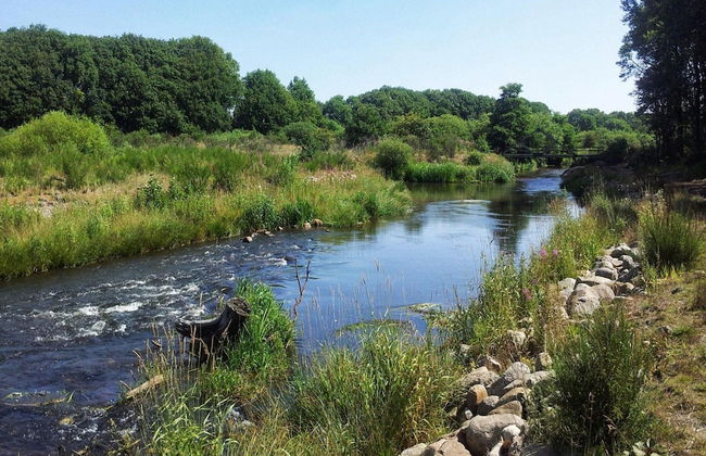 4 Person Holiday Home in Ansager - Foto 33